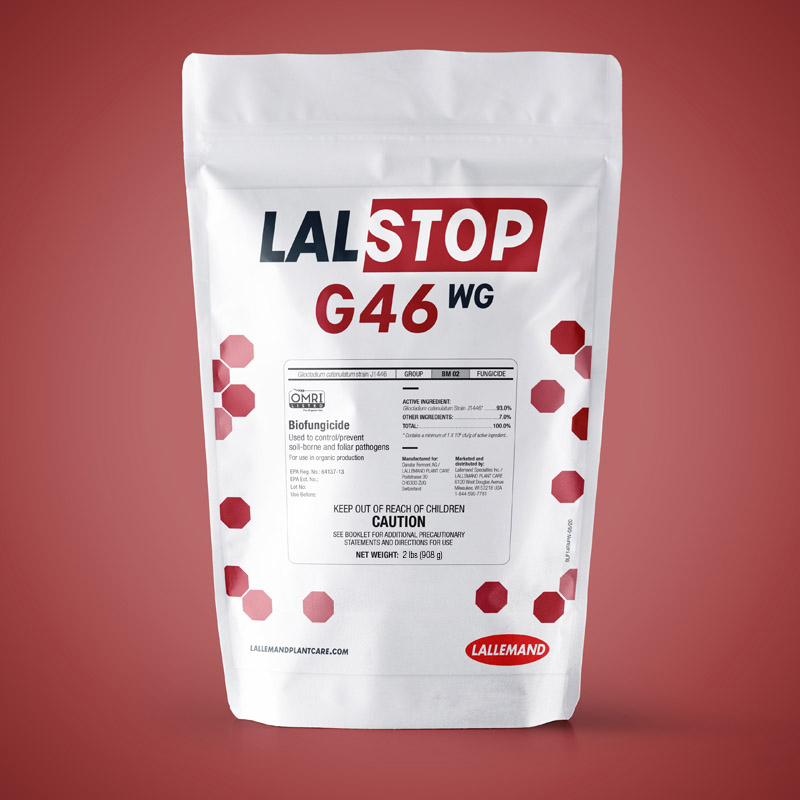 LALSTOP G46 WG main image