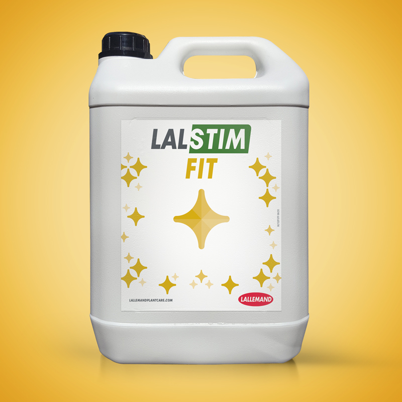 LALSTIM FIT main image