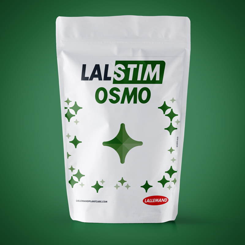 LALSTIM OSMO main image