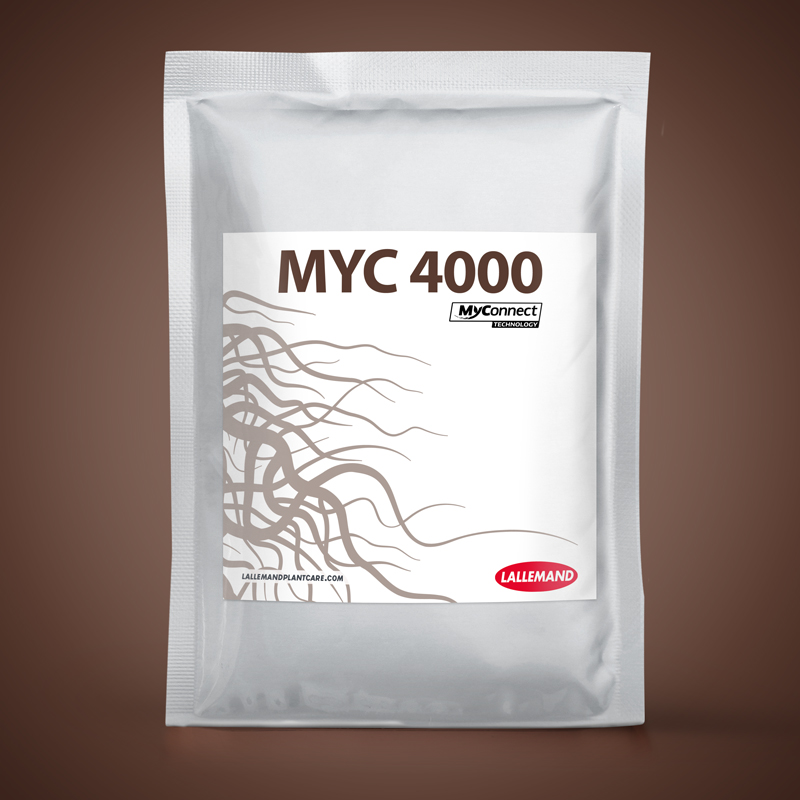 MYC 4000 main image