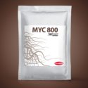 MYC 800