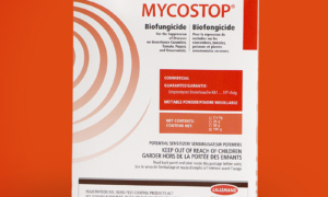 MYCOSTOP