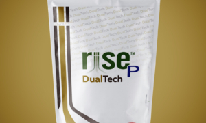 RISE P DUAL TECH