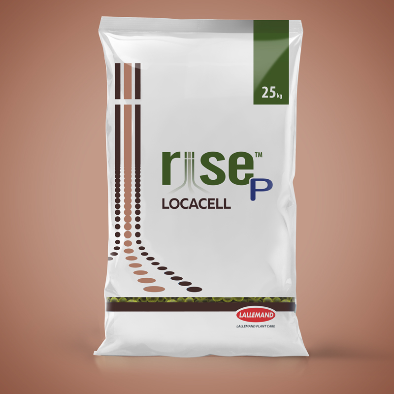 RISE P Locacell main image