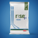 RISE P MICRO