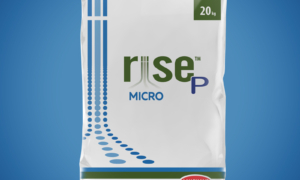 RISE P MICRO