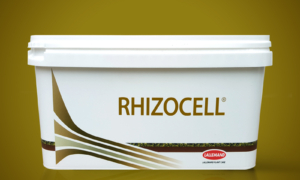 RHIZOCELL