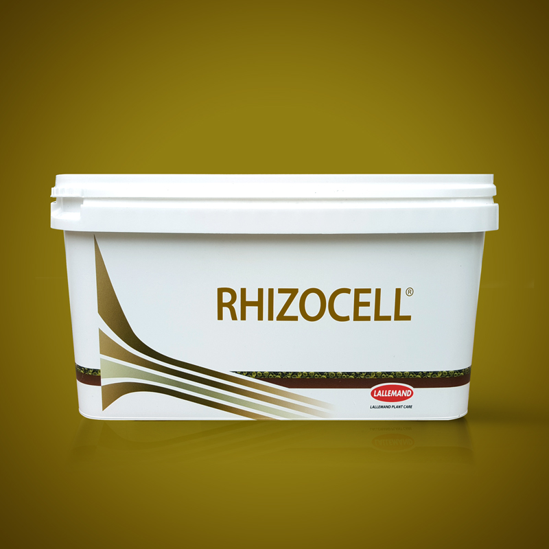 RHIZOCELL main image