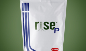 RISE P