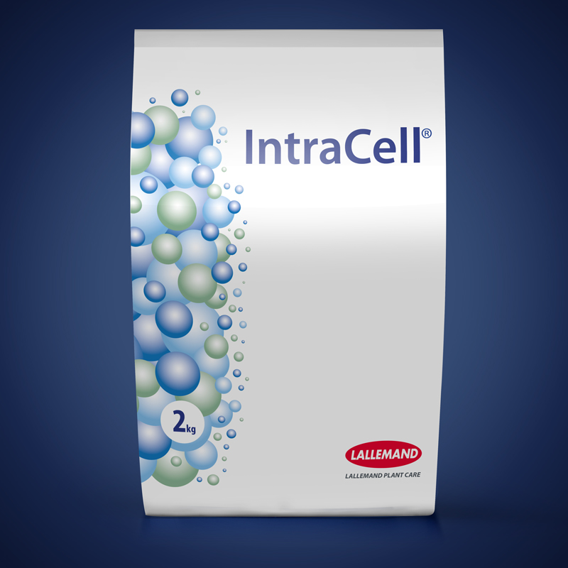 INTRACELL main image