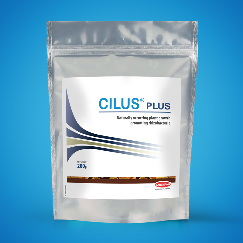 CILUS PLUS main image