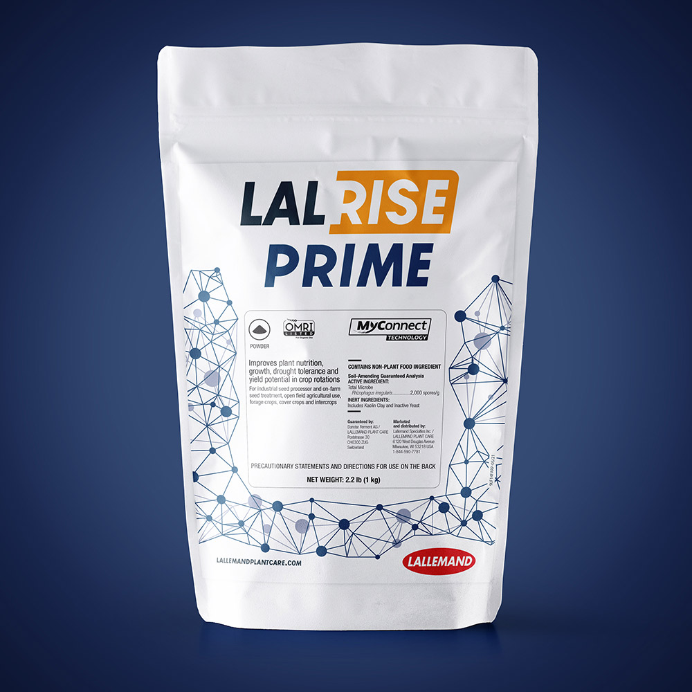 LALRISE PRIME main image