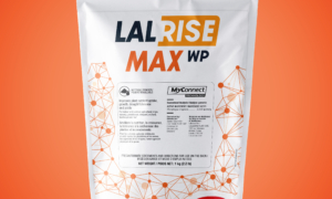 LALRISE MAX WP