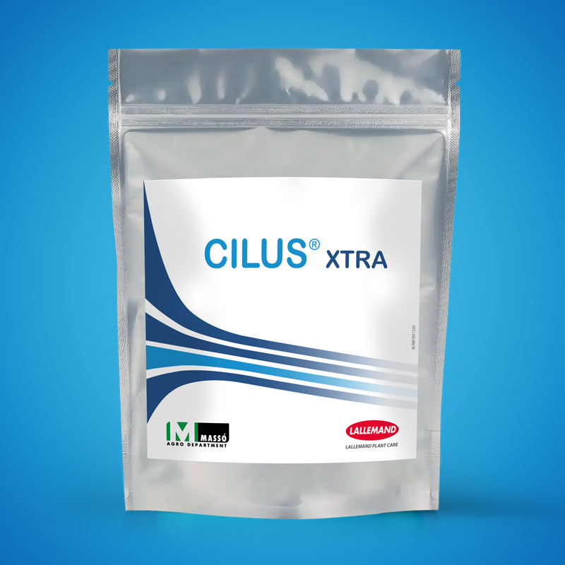 CILUS XTRA main image