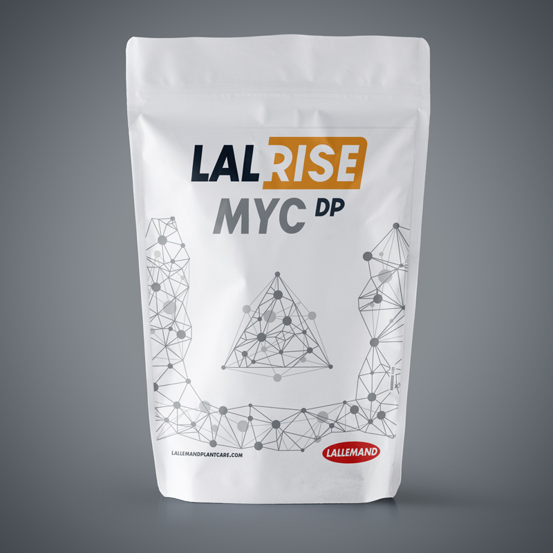 LALRISE MYC DP main image