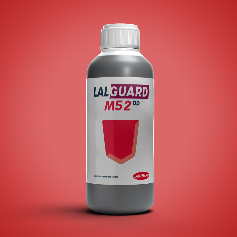 LALGUARD M52 OD main image