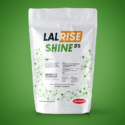 LALRISE SHINE DS