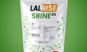 LALRISE SHINE DS